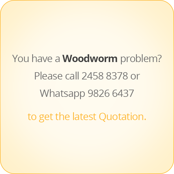 本頁圖片/檔案 - message-eng-woodworm
