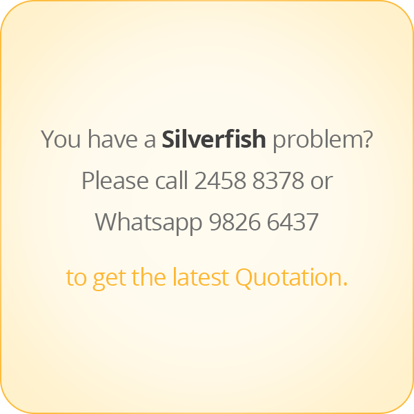 本頁圖片/檔案 - message-eng-Silverfish