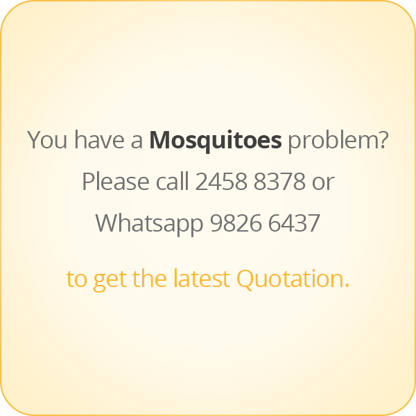 本頁圖片/檔案 - message-eng-Mosquito