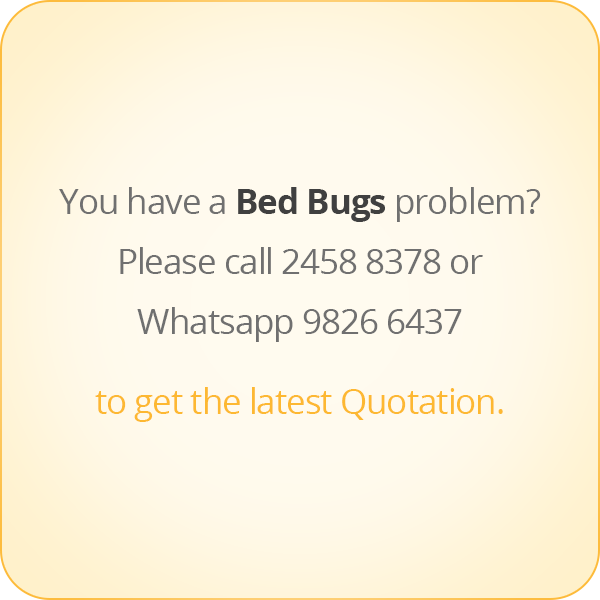 本頁圖片/檔案 - message-eng-Bed-Bugs